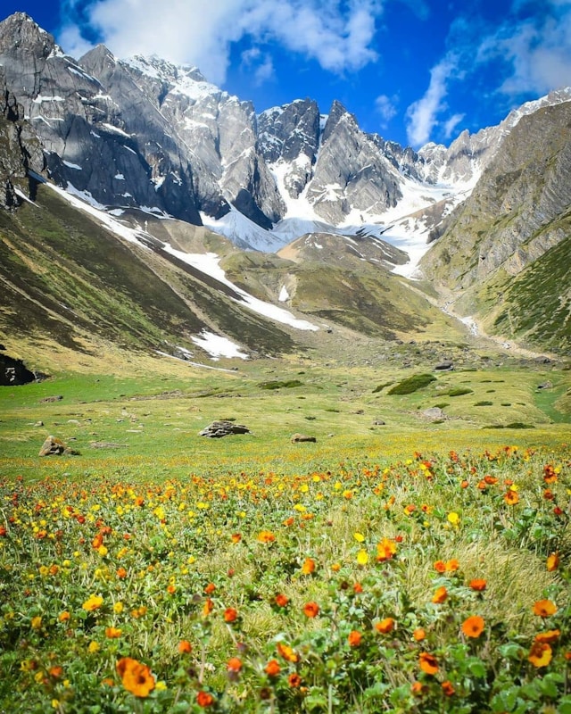 Swiss Alps